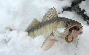 Ice Fishing