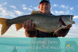 Cisco Fishing